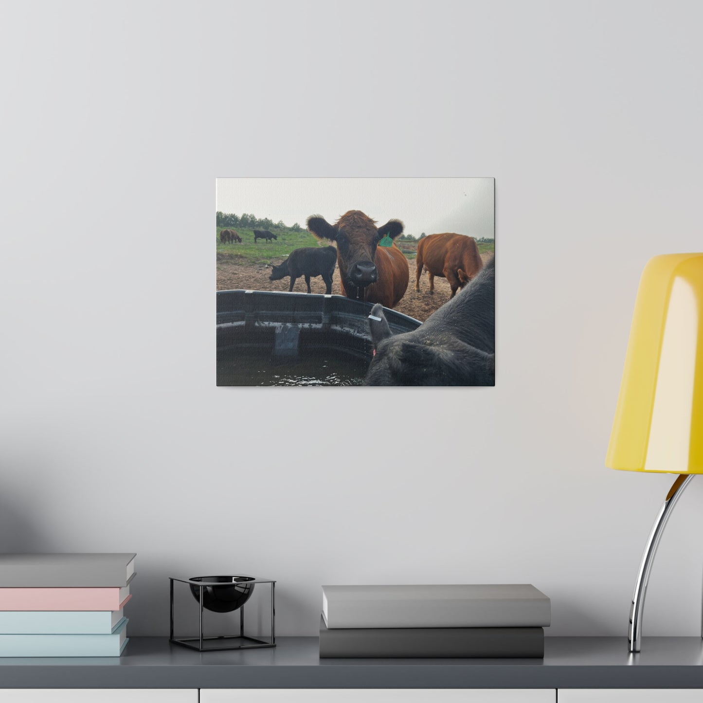 Beef Cow | Matte Canvas, Stretched, 0.75"