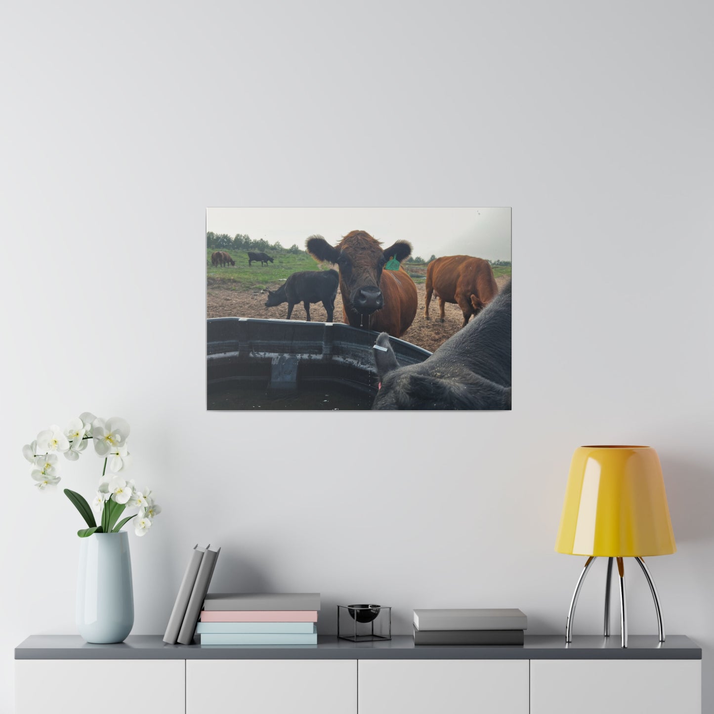 Beef Cow | Matte Canvas, Stretched, 0.75"