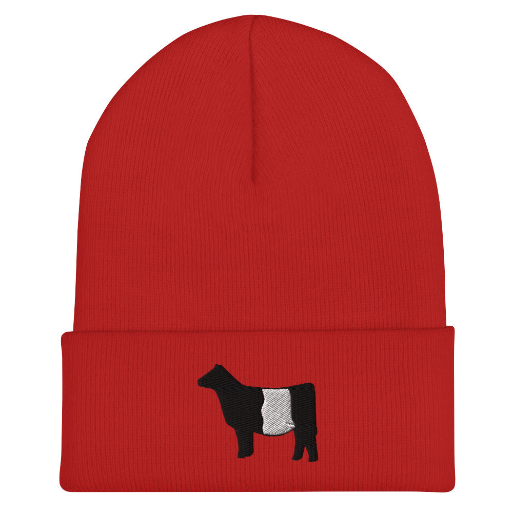 Cuffed Beanie belted cow| winter hat